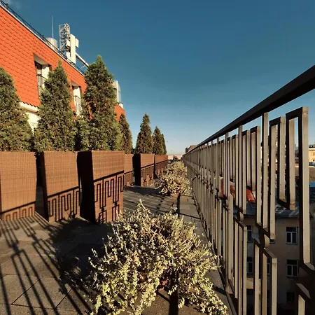 Hotel Rius